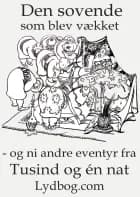 Den Sovende som blev vækket - og ni andre eventyr fra Tusind og en Nat af Valdemar Thisted, Scheherazade Scheherazade og Johannes Østrup