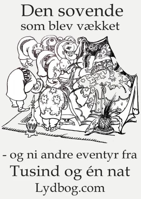 Den Sovende som blev vækket - og ni andre eventyr fra Tusind og en Nat af Valdemar Thisted