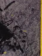 Still Fantasy af Absalon Kirkeby