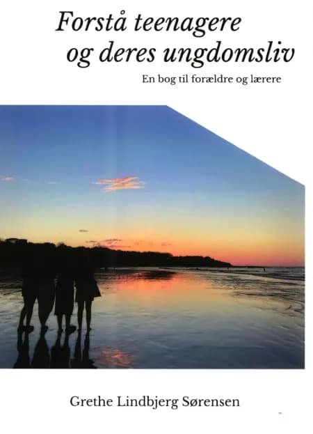 Forstå teenagere og deres ungdomsliv af Grethe Lindbjerg Sørensen
