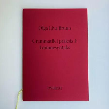 Grammatik i praksis 1: Lommesyntaks. af Olga Liva Bruun