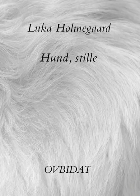 Hund, stille af Luka Holmegaard