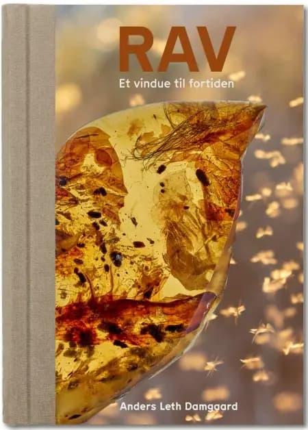RAV - Et vindue til fortiden af Anders Leth Damgaard