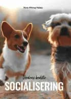 Verdens bedste socialisering af Maria wittrup Nielsen