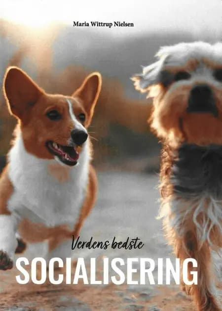 Verdens bedste socialisering af Maria wittrup Nielsen