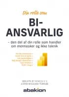 Din rolle som BI-ansvarlig af Jesper Riisgaard Ternsøe