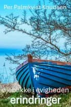 øjeblikke i evigheden af Per Palmkvist Knudsen