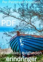 øjeblikke i evigheden PDF af Per Palmkvist Knudsen