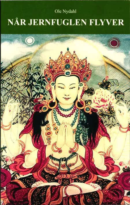 Når jernfuglen flyver af Ole Nydahl