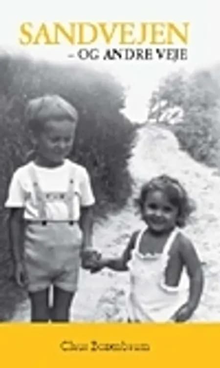 Sandvejen af Claus Boxenbaum