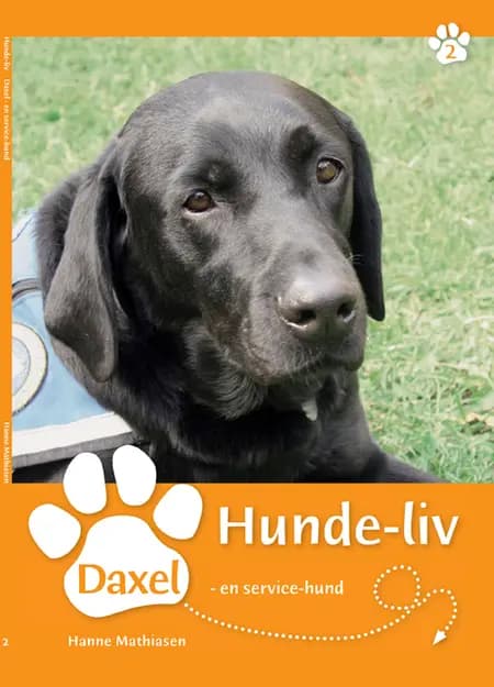Daxel, en servicehund af Hanne Mathiasen