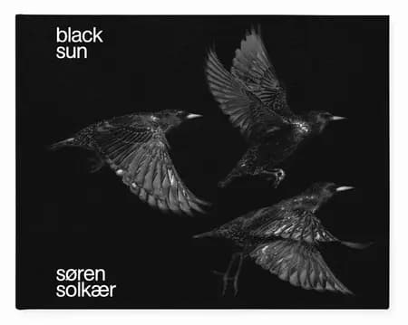 BLACK SUN af Ib Michael