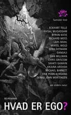 Hvad er ego? af Bo Heimann