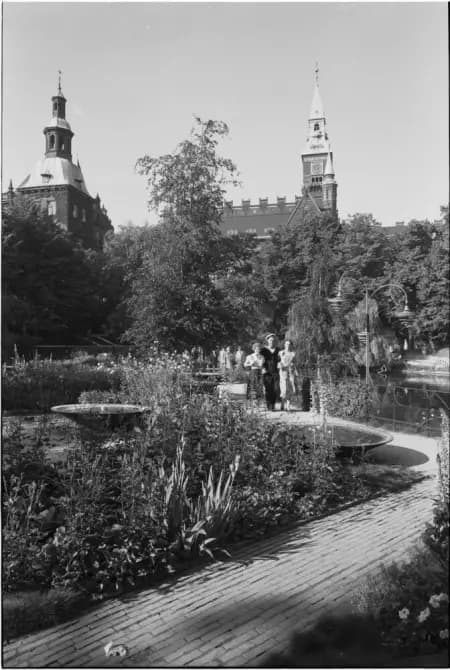 Vejen til toppen af Ole Troelsø