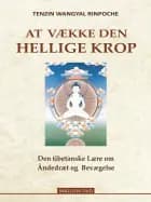 At vække den hellige krop af Tenzin Wangyal Rinpoche
