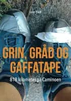 Grin, gråd og gaffatape af Lene Theill