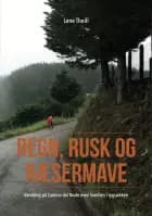 Regn, rusk og ræsermave af Lene Theill