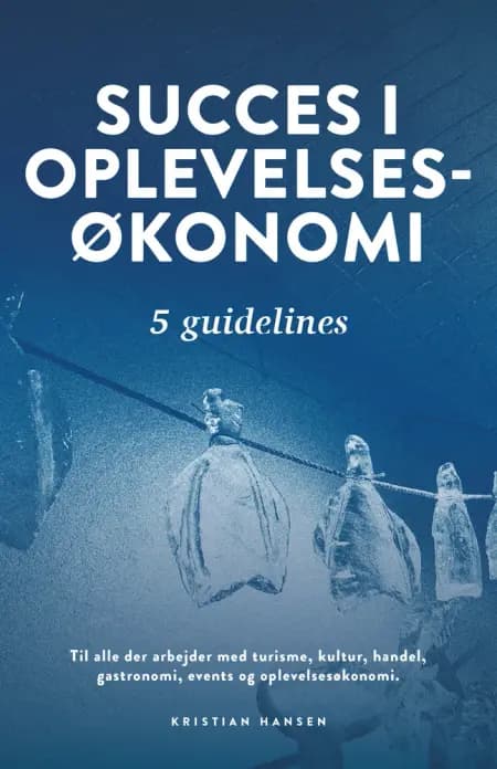 Succes i oplevelsesøkonomi - fem guidelines af Kristian Hansen