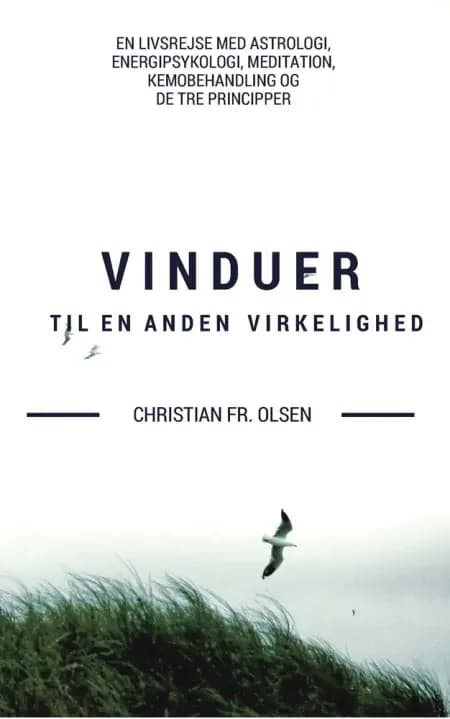 Vinduer til en anden virkelighed af Christian Frederik Olsen