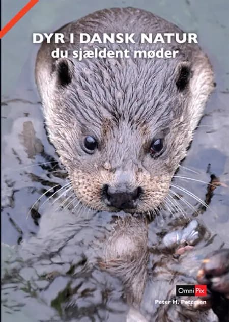 Dyr i dansk natur du sjældent møder af Peter H. Petersen