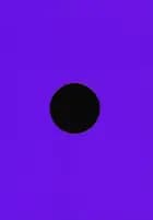 They didn't want to pierce the sun af Fryd Frydendahl og Jacob Birch