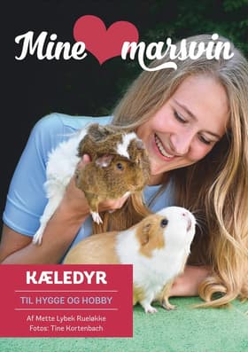 Mine marsvin af Tine Kortenbach