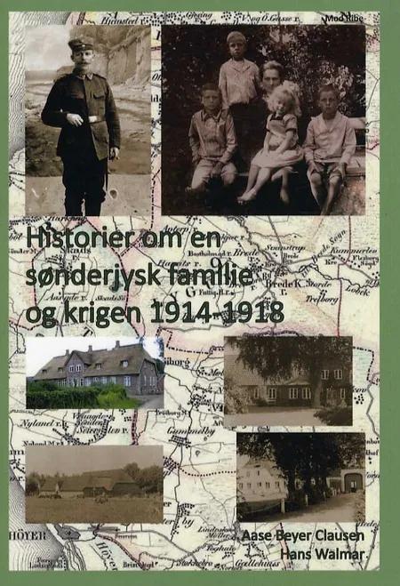 Historier om en sønderjysk familie og krigen 1914-1918 af Aase Beyer Clausen