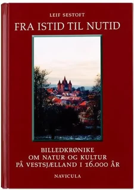 Fra istid til nutid af Leif Sestoft