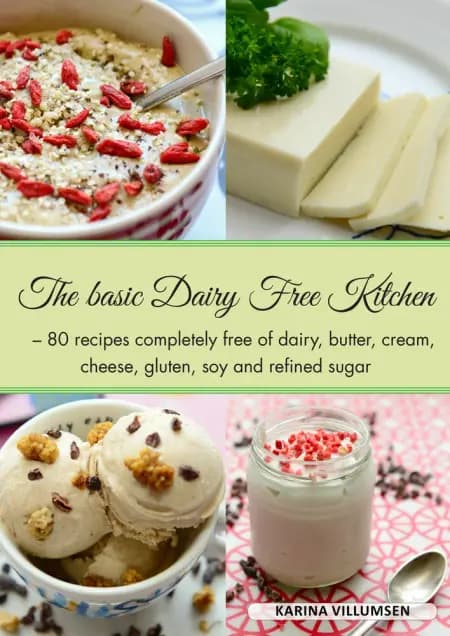 The basic dairy free kitchen af Karina Villumsen