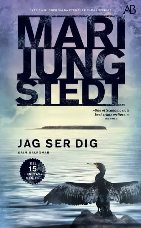 Jag ser dig af Mari Jungstedt