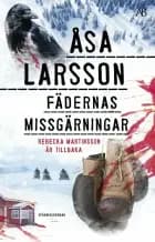 Fädernas missgärningar af Åsa Larsson