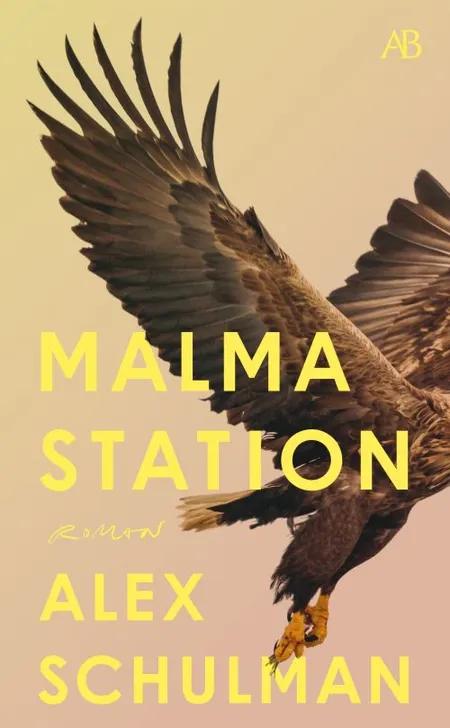 Malma Station af Alex Schulman