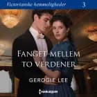 Fanget mellem to verdener af Georgie Lee