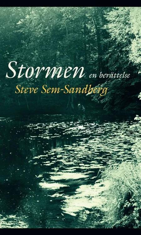 Stormen af Steve Sem-Sandberg