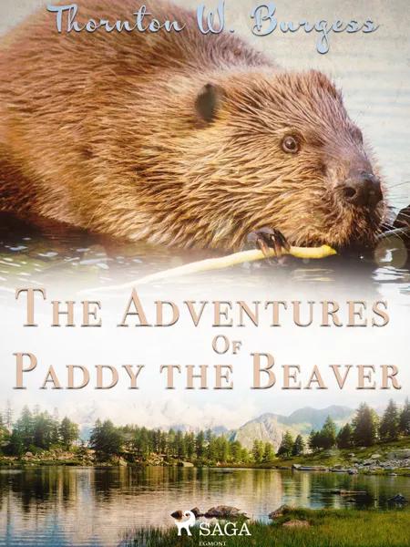 The Adventures of Paddy the Beaver af Thornton W. Burgess