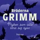 Pojken som ville lära sig rysa af Wilhelm Grimm og Jacob Grimm