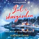Jul i skærgården af Eleonor Sager