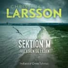 Sektion M IV af Christina Larsson