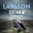 Sektion M I af Christina Larsson