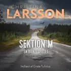 Sektion M III af Christina Larsson