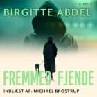 Fremmed fjende af Birgitte Abdel