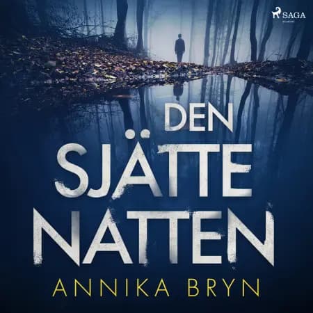 Den sjätte natten af Annika Bryn