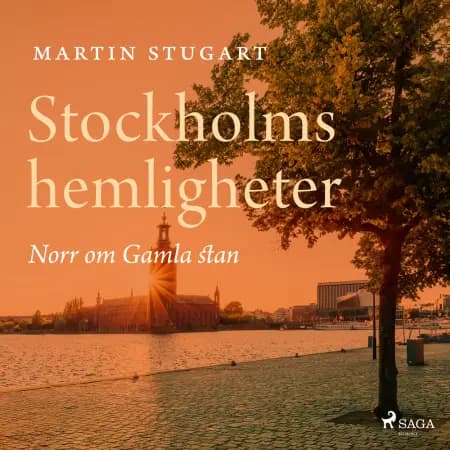 Stockholms hemligheter - Norr om Gamla stan af Martin Stugart