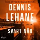 Svart nåd af Dennis Lehane