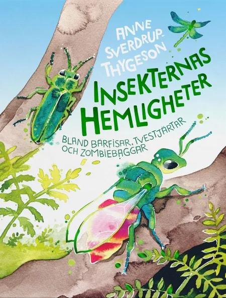 Insekternas hemligheter : bland bärfisar, tvestjärtar och zombiebaggar af Anne Sverdrup-Thygeson