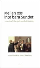 Mellan oss inte bara sundet : dansk-svenska litterära förbindelser af Bengt Liljenberg (red.)