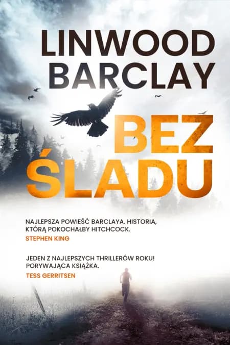 Bez śladu af Linwood Barclay