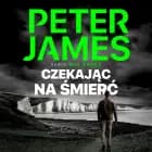 Czekając na śmierć af Peter James